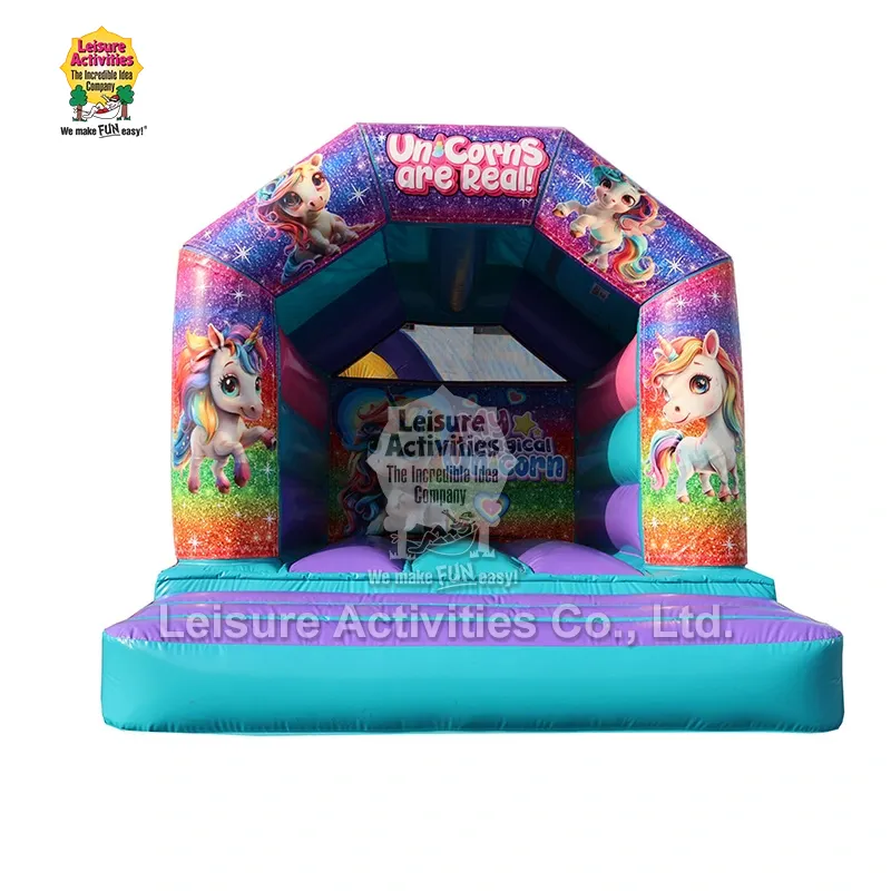 Mini Inflatable Bouncy Castle ခေါင်မိုးနှင့်အတူ ခရမ်းရောင်စိမ်းပြာဘောင်